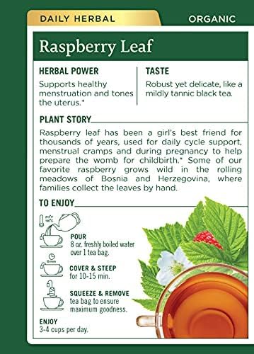Organic Raspberry Leaf Herbal Tea - 16 Tea Bags