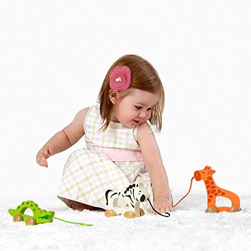 - Giraffe Wooden Push and Pull Toy