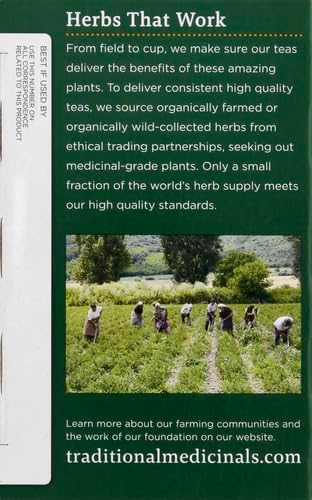 Organic Raspberry Leaf Herbal Tea - 16 Tea Bags