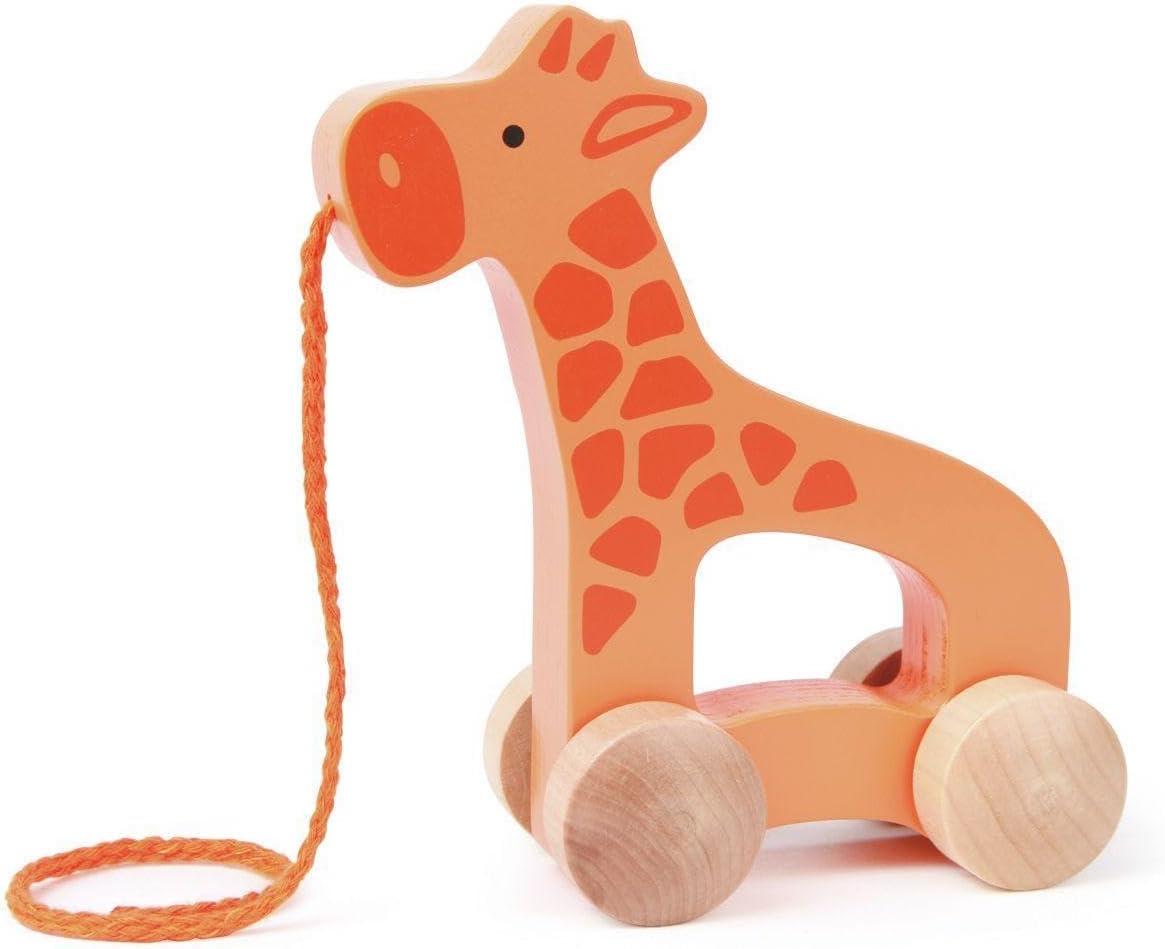 - Giraffe Wooden Push and Pull Toy