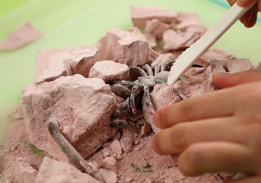 403397 Kidzlabs-Creepy Crawlies Digging Kit, Mixed Colours