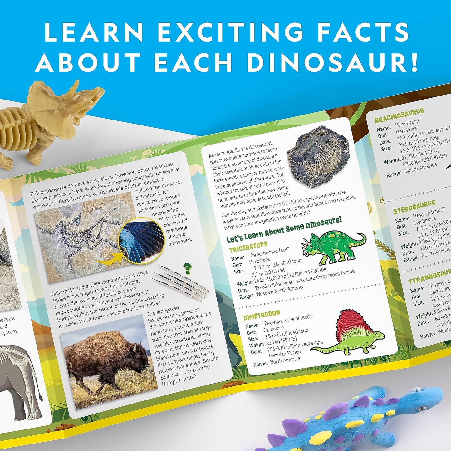 NATIONAL GEOGRAPHIC Clay Dinosaur Arts & Crafts Kit - Dinosaur Air Dry Clay for Kids Craft Kit with 5 Clay Colours, 5 Dino Skeletons, Sculpting Tool & Googly Eyes, Dinosaur Activity (Amazon Exclusive)