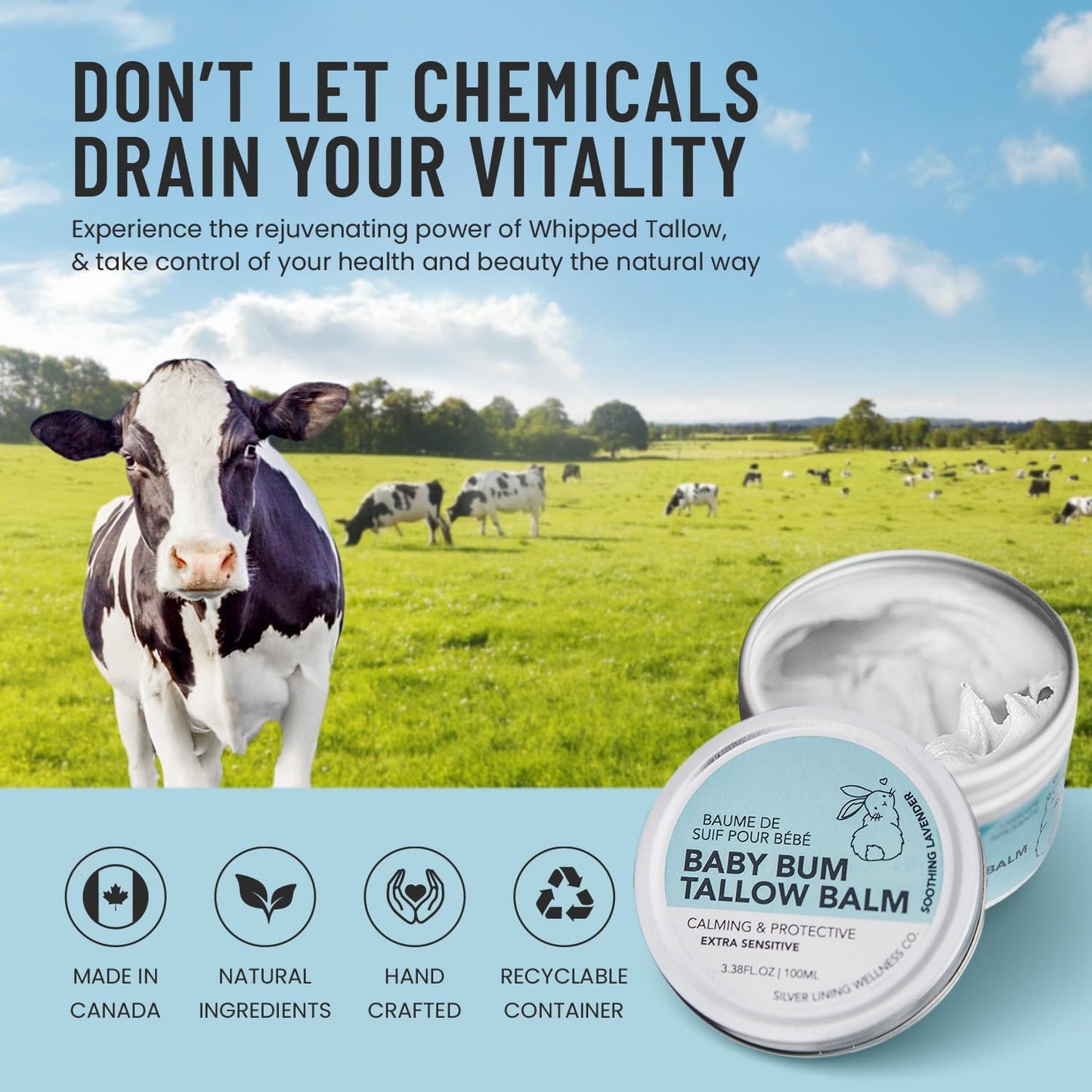 Whipped Beef Tallow Face Cream, Baby Body & Face Moisturizer, Grass Fed Beef Tallow Skincare with Zinc Oxide, Phthalates & Parabens Free, Suif De Boeuf Made in Canada, 3.38Floz, Soothing Lavender