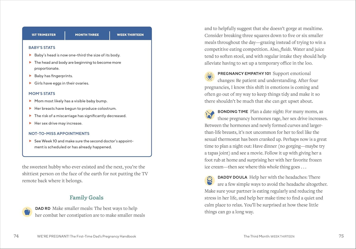 We'Re Pregnant! the First Time Dad'S Pregnancy Handbook