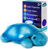 Twilight Turtle - Blue
