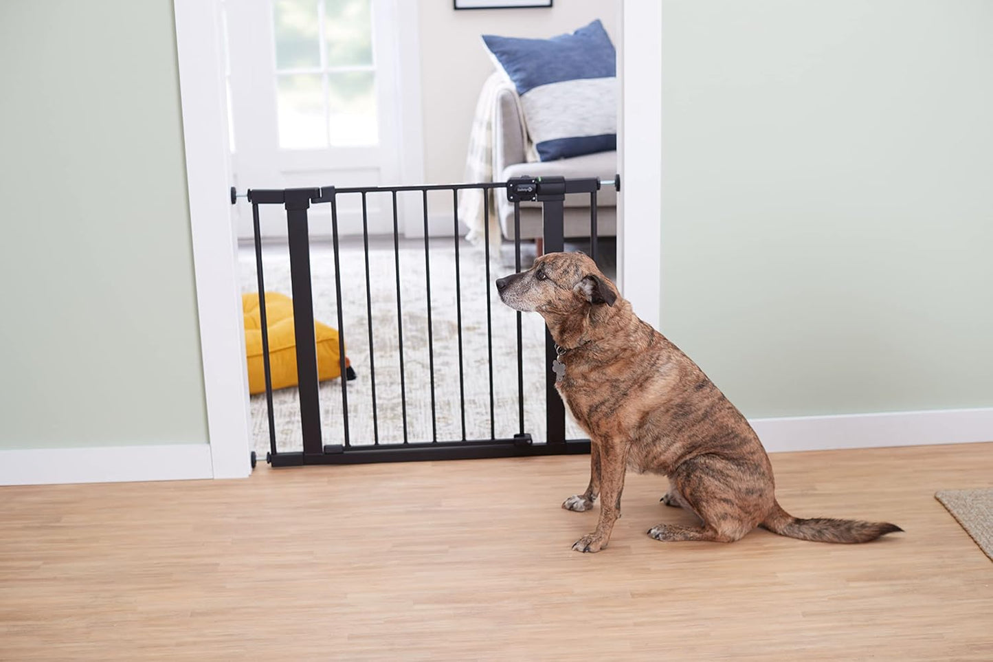 Easy Install Walk-Through Gate, Black