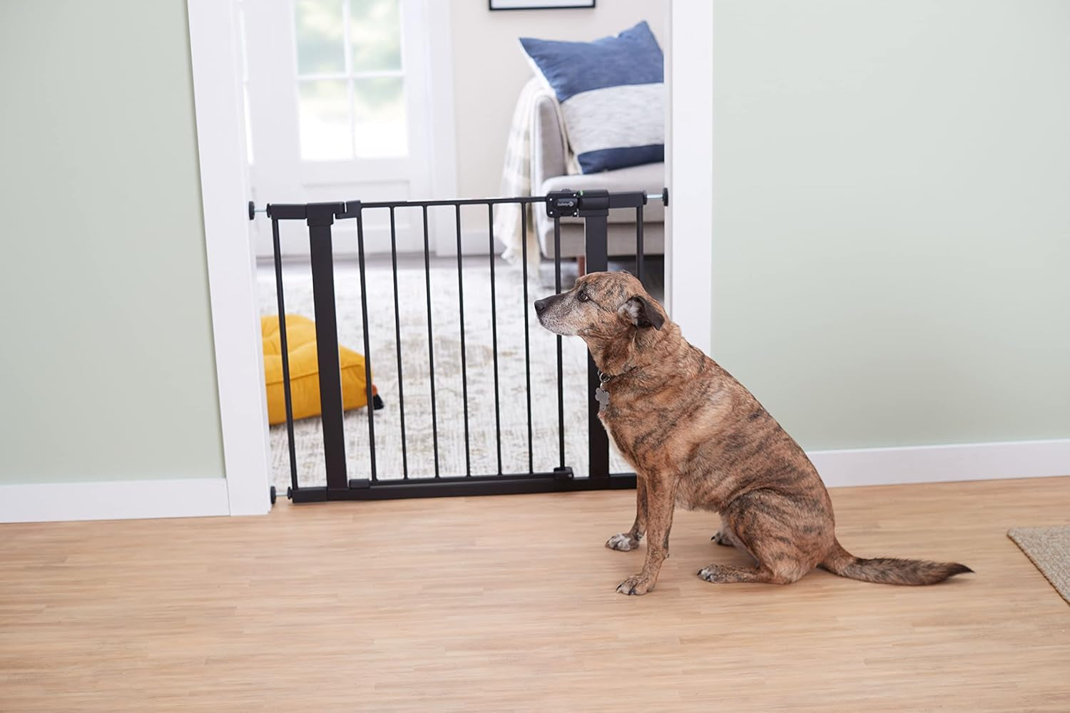 Easy Install Walk-Through Gate, Black