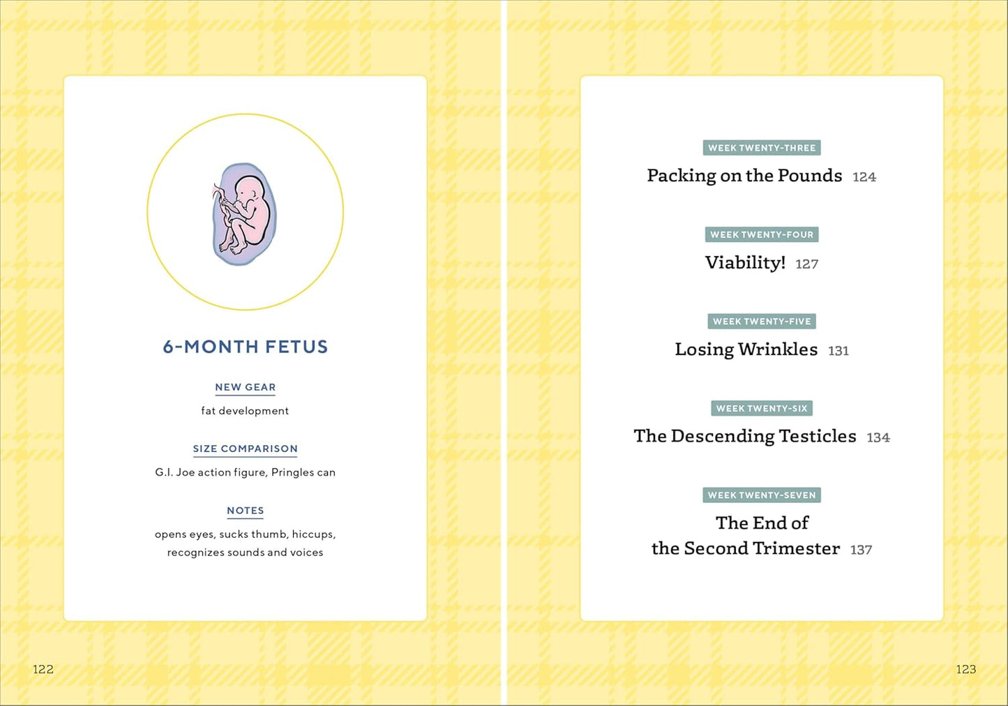 We'Re Pregnant! the First Time Dad'S Pregnancy Handbook