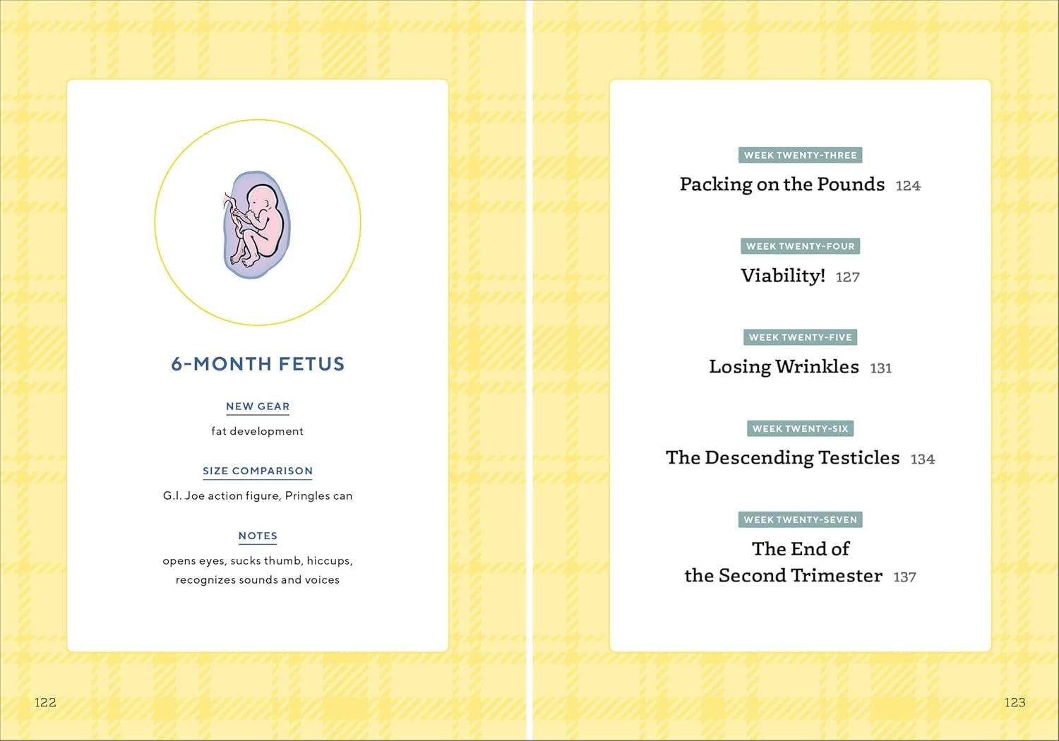 We'Re Pregnant! the First Time Dad'S Pregnancy Handbook