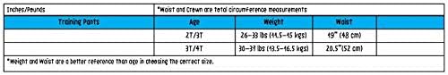 Girls 3 Piece Organic Training Pant Set-Fairy Tales (2T-3T), Multi