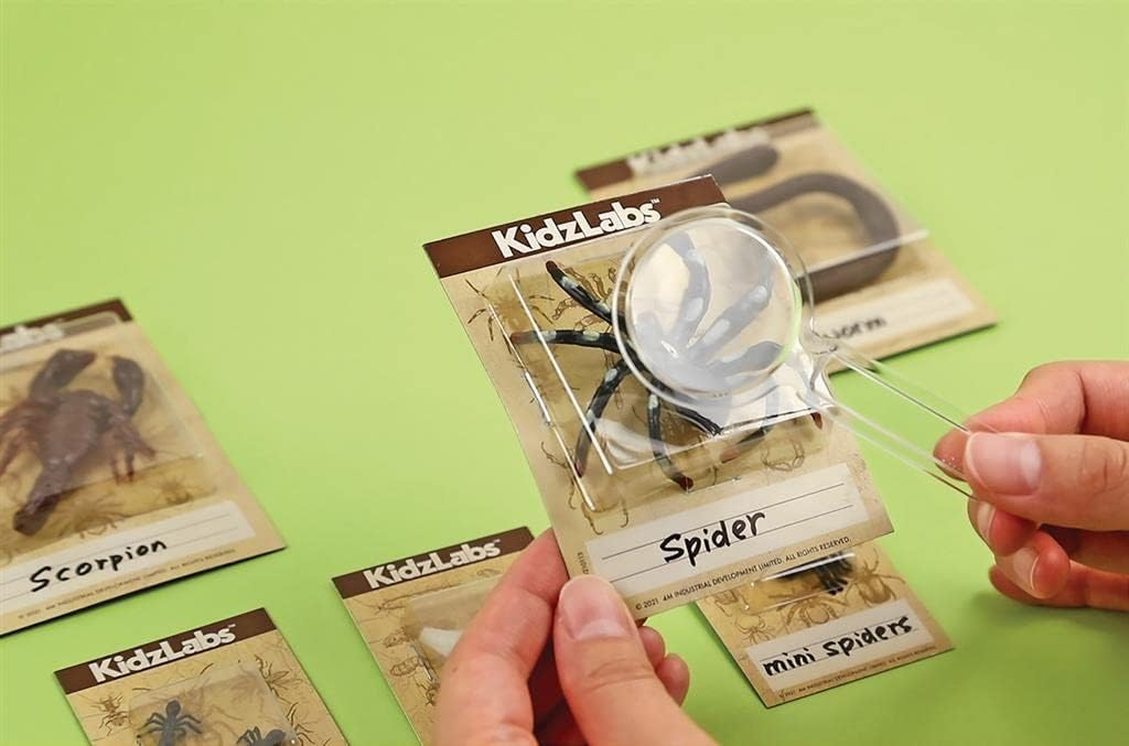 403397 Kidzlabs-Creepy Crawlies Digging Kit, Mixed Colours