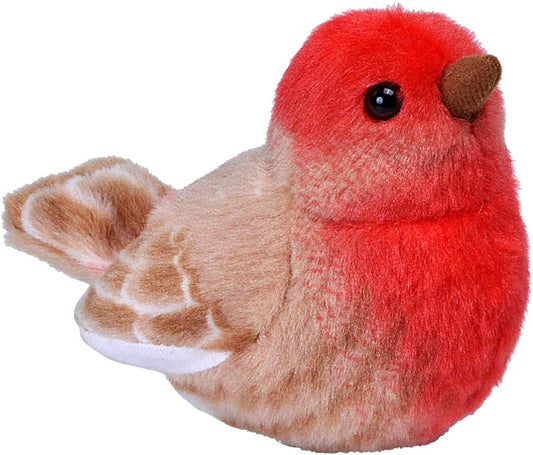 House Finch Plush