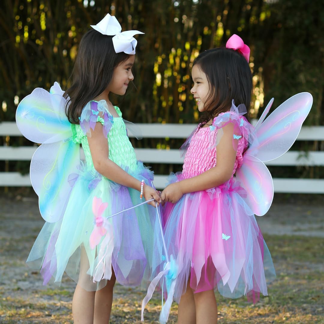 Butterfly Dress/Wings