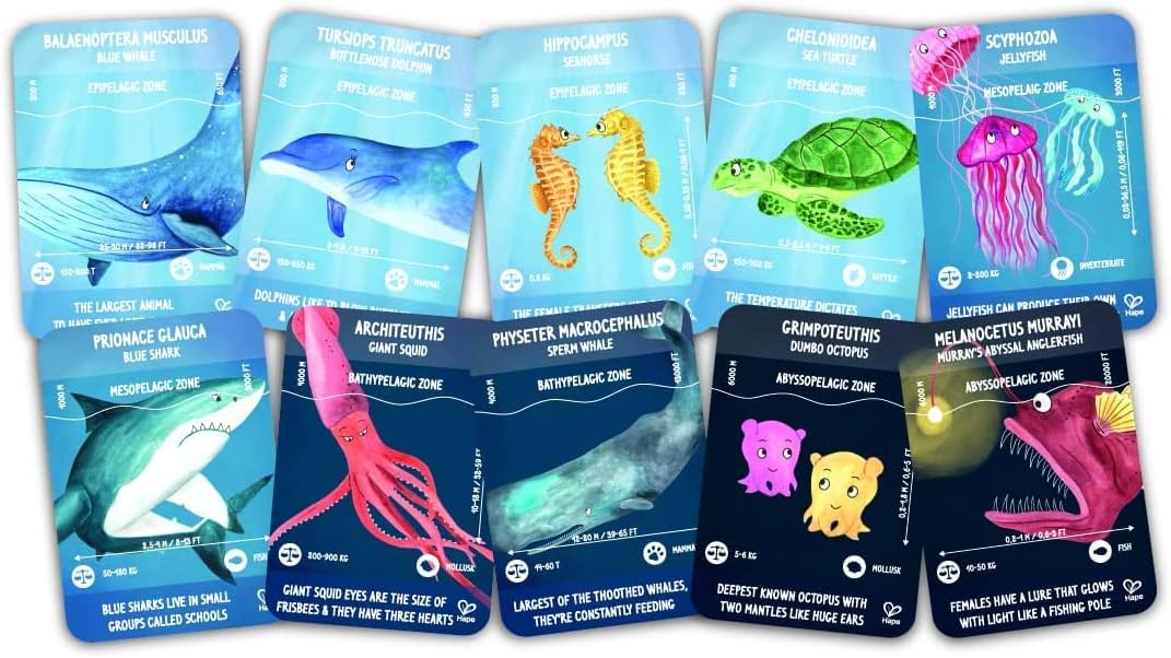 - Ocean Life Glow-In-The-Dark Puzzle