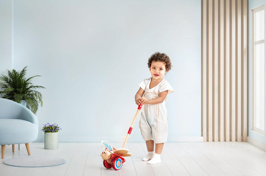 - Butterfly Wooden Push and Pull Toy