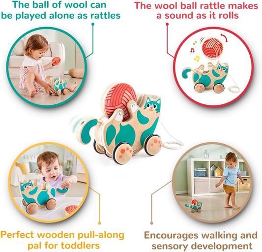 Wooden Walk-A-Long Kitten Pull Toy| Roll & Rattle Push Pull Toy for Toddler| Montessori Toys for Walking Toddlers, Green