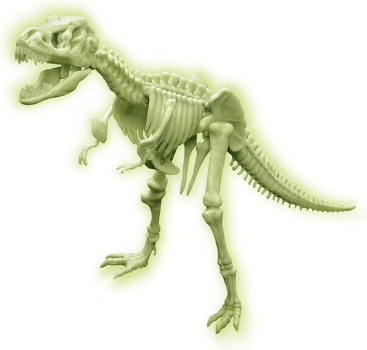 Sci:Bits Glow T-Rex Skeleton Kit