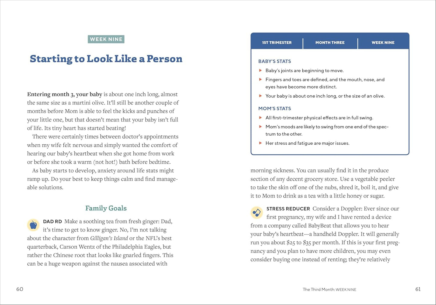 We'Re Pregnant! the First Time Dad'S Pregnancy Handbook
