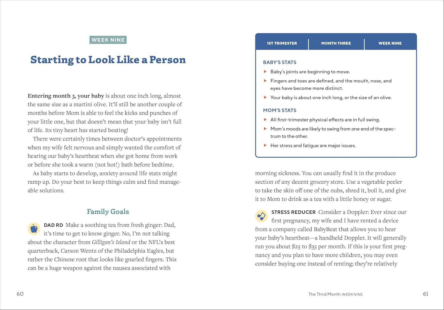 We'Re Pregnant! the First Time Dad'S Pregnancy Handbook