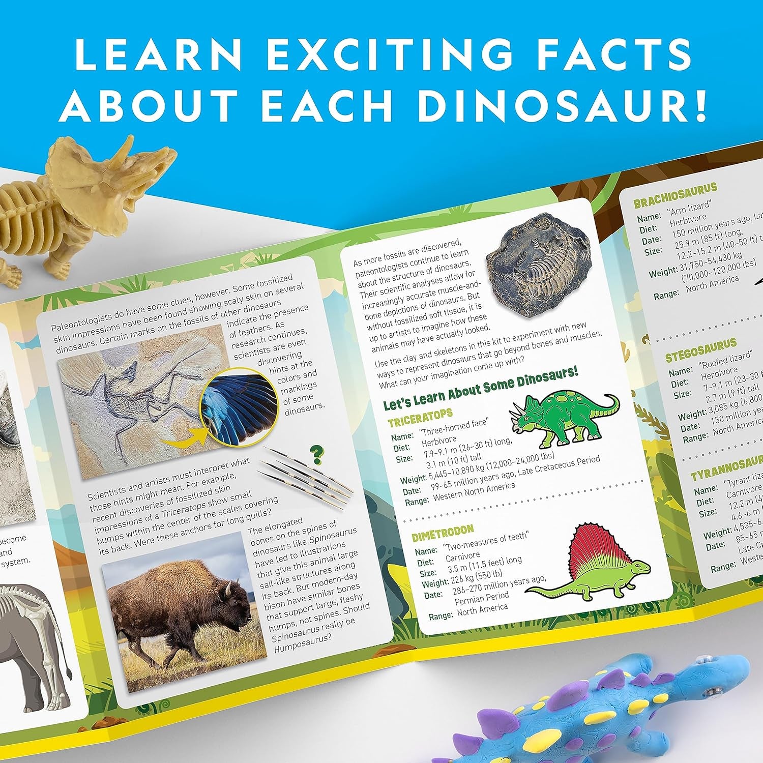 NATIONAL GEOGRAPHIC Clay Dinosaur Arts & Crafts Kit - Dinosaur Air Dry Clay for Kids Craft Kit with 5 Clay Colours, 5 Dino Skeletons, Sculpting Tool & Googly Eyes, Dinosaur Activity (Amazon Exclusive)