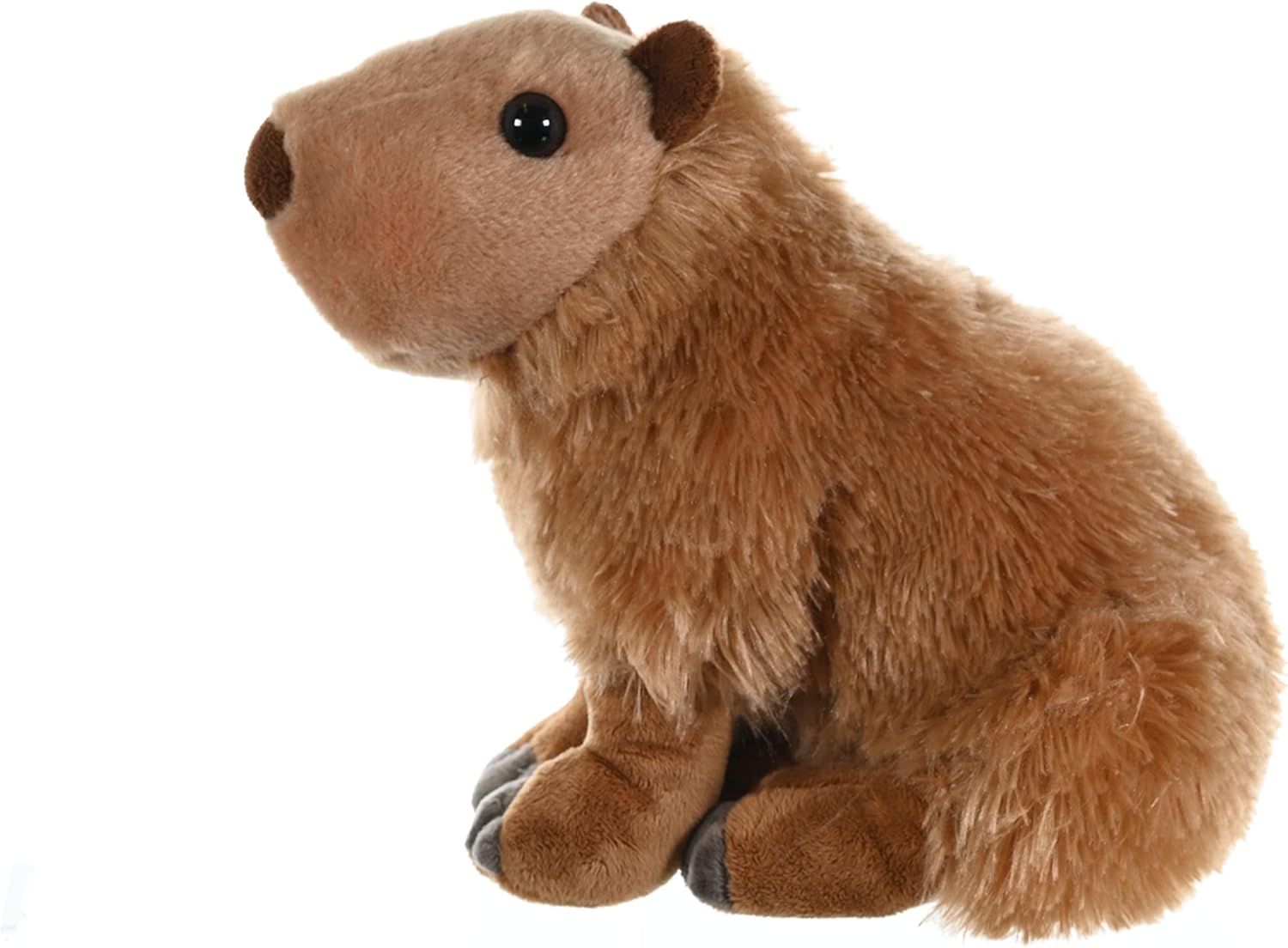 Capybara Plush, Stuffed Animal, Plush Toy, Gifts for Kids, Cuddlekins 12 Inches