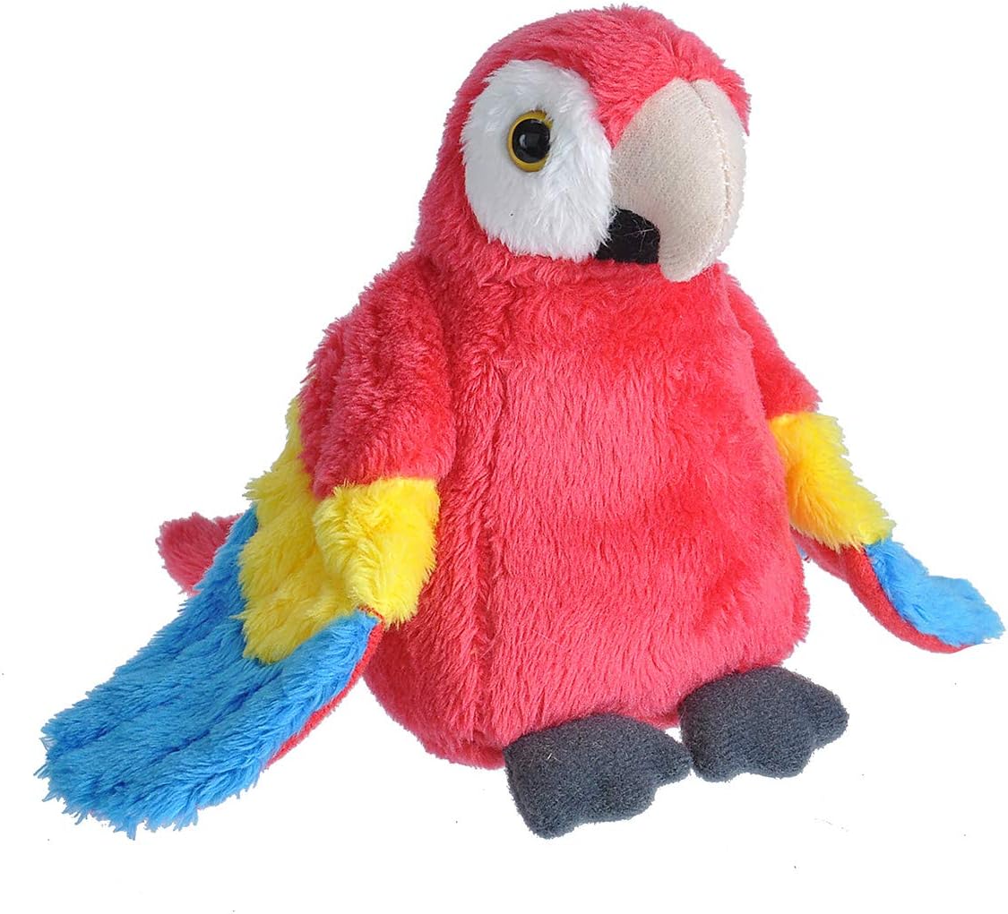Pocketkins Macaw Plush, Stuffed Animal, Plush Toy, Gifts for Kids, 5"