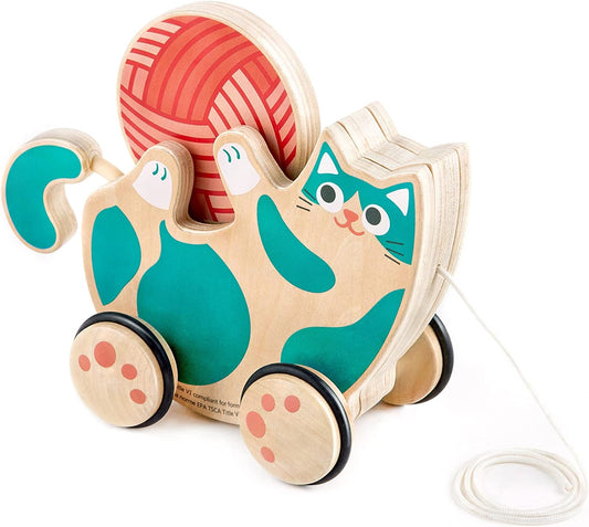 Wooden Walk-A-Long Kitten Pull Toy| Roll & Rattle Push Pull Toy for Toddler| Montessori Toys for Walking Toddlers, Green
