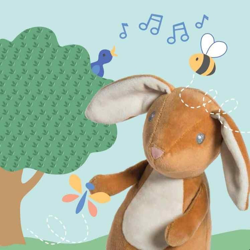 Leika Baby Board Book, 6 X 6-Inches, Little Bunny