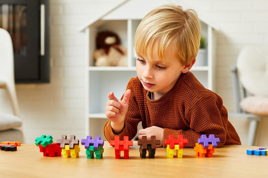 - Big Basic Mix - 100 Pieces - Interlocking Building Blocks and Construction Set - STEM Toy for Kids - Age 1 to 6 Years - P3210