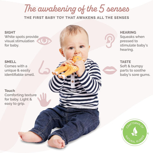 Fanfan the Fawn - 'S New Friend - Soft Natural Rubber - Bpa-Free Teething Toy for Babies from Birth