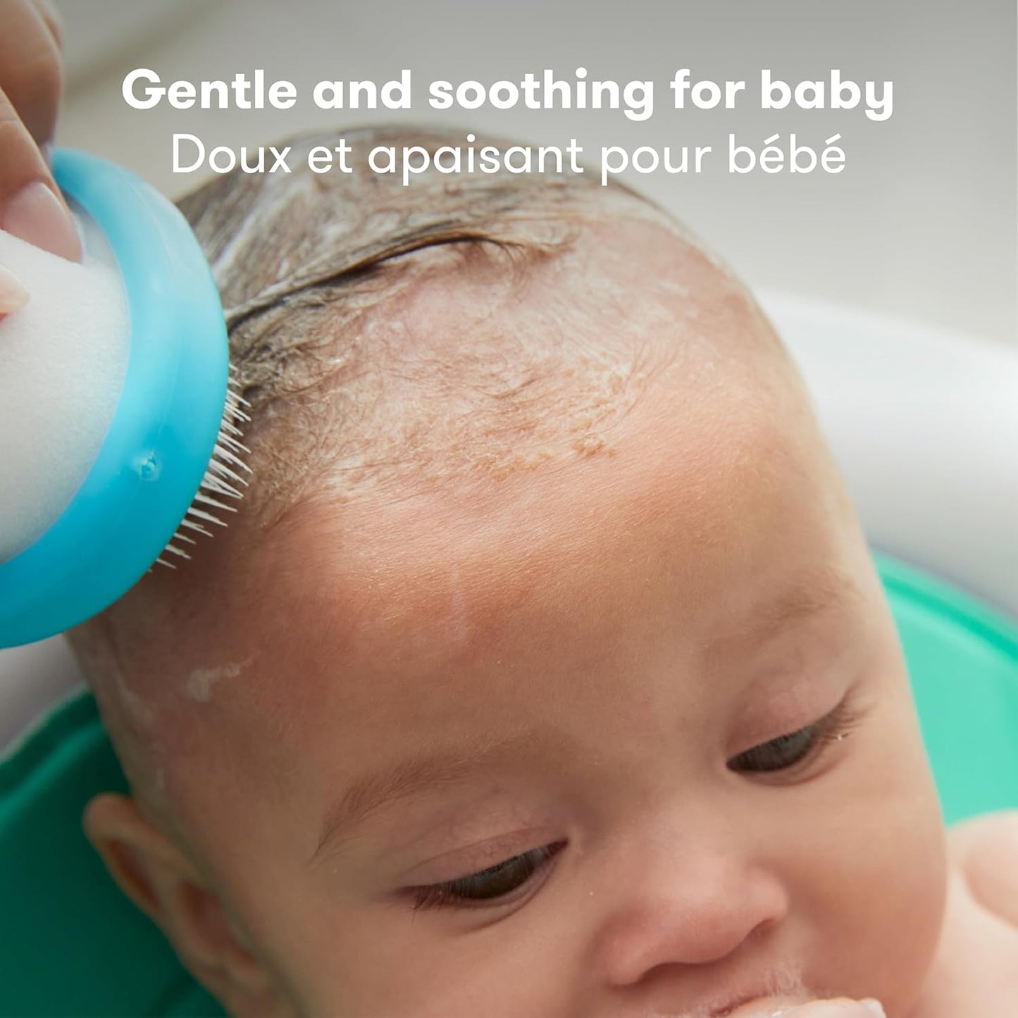 the 3-Step Cradle Cap System & Cradle Cap Treatment, Dermafrida the Flakefixer, Sponge, Brush, Comb and Storage Stand for Babies with Cradle Cap, White-Blue