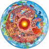 - Centre of the Earth Puzzle