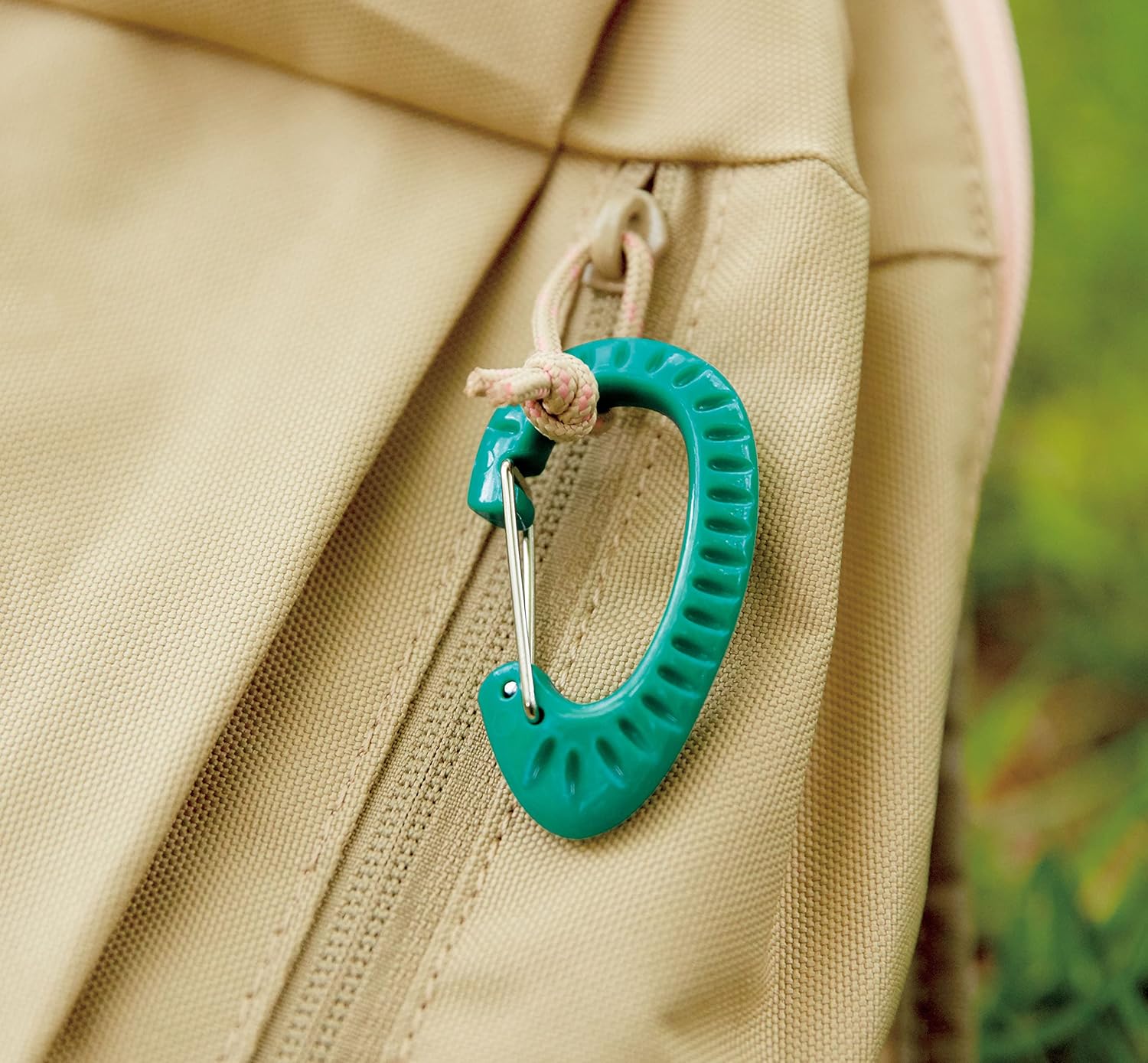 : Compass Set