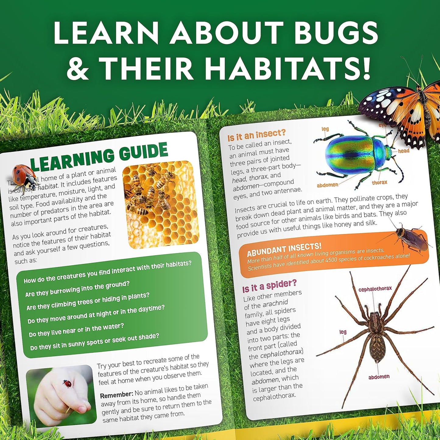 National Geographic Bug Catcher Kit for Kids - Insect Habitat with Magnified Viewer, Catcher, Tweezers & Learning Guide, Kids Bug Catching Kit, Outdoor Toys