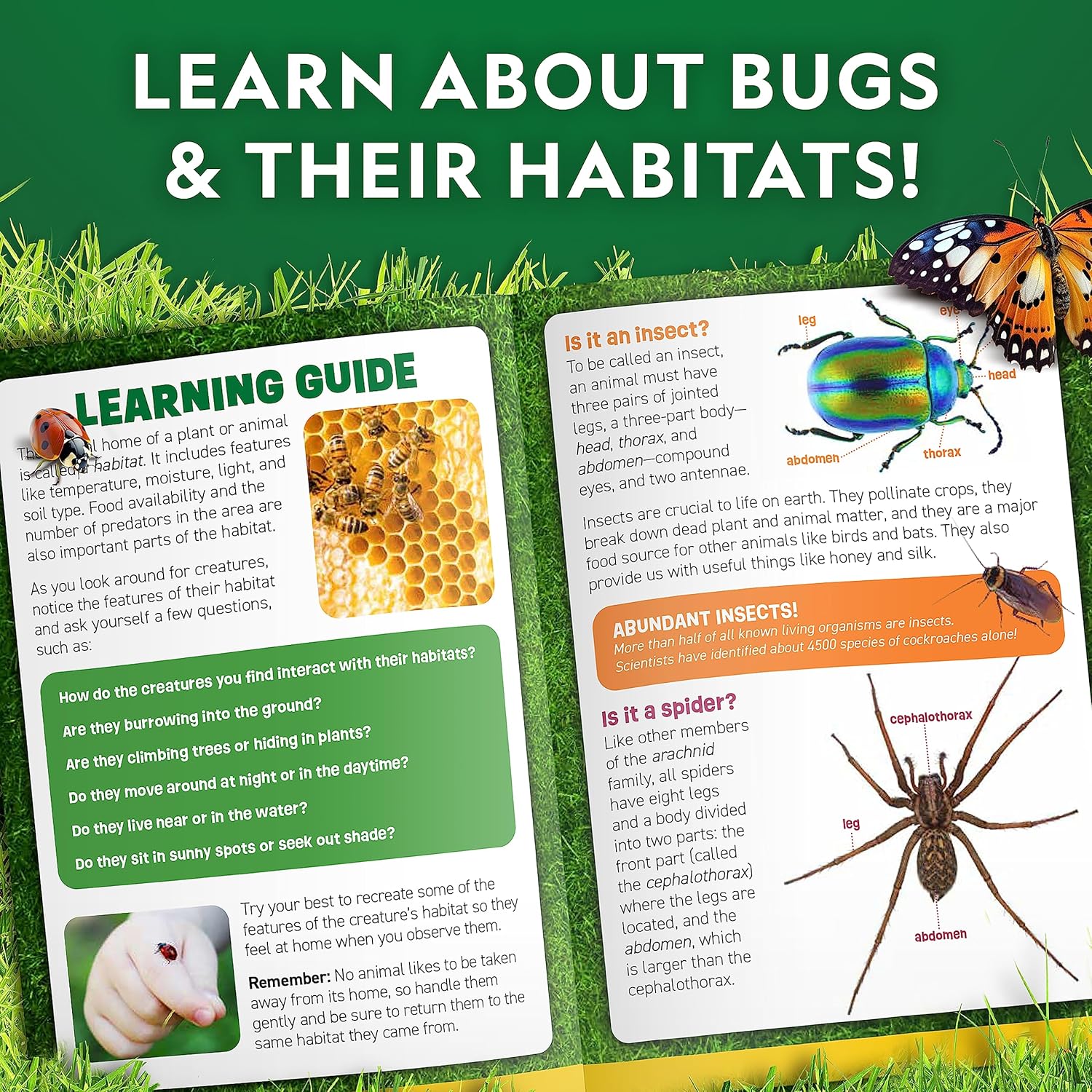National Geographic Bug Catcher Kit for Kids - Insect Habitat with Magnified Viewer, Catcher, Tweezers & Learning Guide, Kids Bug Catching Kit, Outdoor Toys