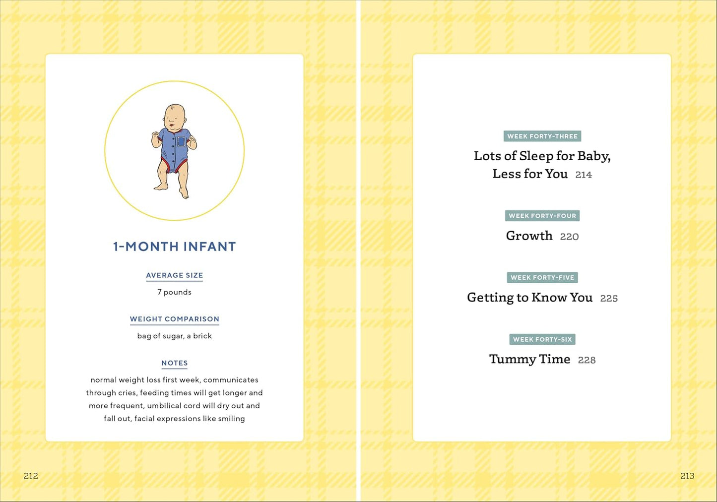 We'Re Pregnant! the First Time Dad'S Pregnancy Handbook