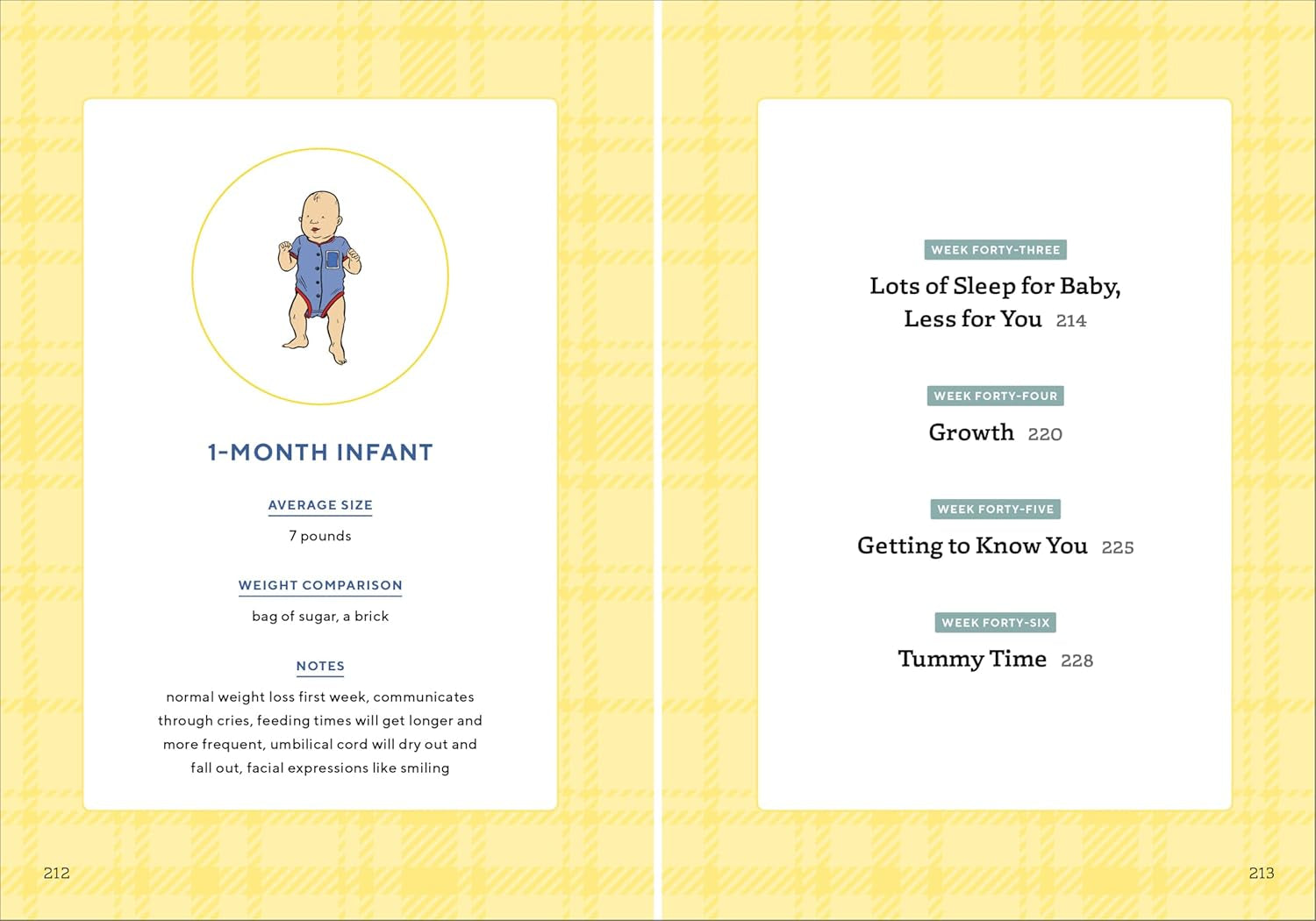 We'Re Pregnant! the First Time Dad'S Pregnancy Handbook