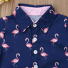 2019 Children Summer Clothing 2PCS Set Toddler Kid Baby Boy Flamingo Tops T-Shirt+Shorts Pants Outfits Short Sleeve Clothes 1-6T
