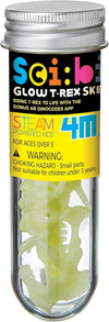 Sci:Bits Glow T-Rex Skeleton Kit