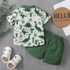 Toddler Boy 2Pcs Summer Outfits, Short Sleeve Button down Shirt + Elastic Waist Shorts Set 6M-5T